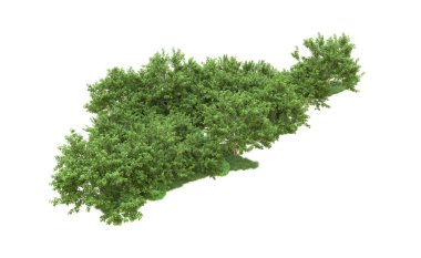 Yeşil orman ıssız. Afişler ve afişler için kullanışlı. 3d oluşturma.