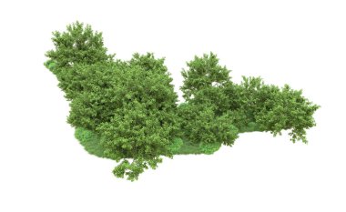 Yeşil orman ıssız. Afişler ve afişler için kullanışlı. 3d oluşturma.