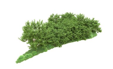Yeşil orman ıssız. Afişler ve afişler için kullanışlı. 3d oluşturma.