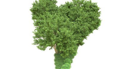 Yeşil orman ıssız. Afişler ve afişler için kullanışlı. 3d oluşturma.