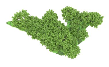 Yeşil orman ıssız. Afişler ve afişler için kullanışlı. 3d oluşturma.