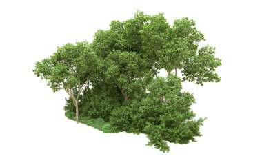Yeşil orman ıssız. Afişler ve afişler için kullanışlı. 3d oluşturma.