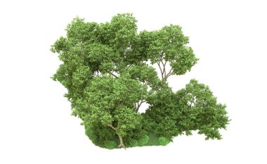 Yeşil orman ıssız. Afişler ve afişler için kullanışlı. 3d oluşturma.