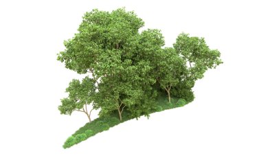 Yeşil orman ıssız. Afişler ve afişler için kullanışlı. 3d oluşturma.