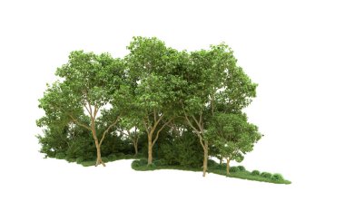 Yeşil orman ıssız. Afişler ve afişler için kullanışlı. 3d oluşturma.