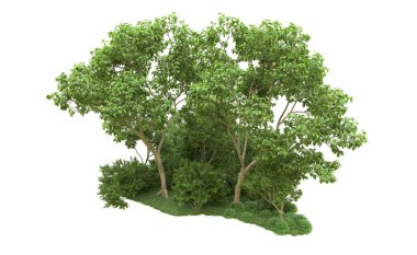 Yeşil orman ıssız. Afişler ve afişler için kullanışlı. 3d oluşturma.