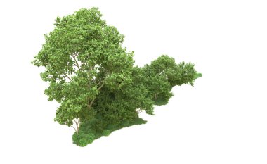 Yeşil orman ıssız. Afişler ve afişler için kullanışlı. 3d oluşturma.