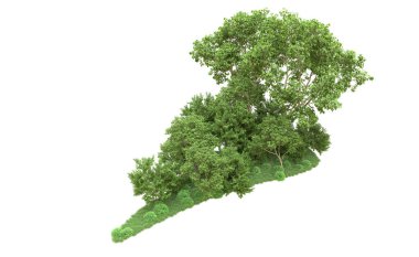 Yeşil orman ıssız. Afişler ve afişler için kullanışlı. 3d oluşturma.