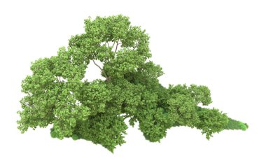 Yeşil orman ıssız. Afişler ve afişler için kullanışlı. 3d oluşturma.