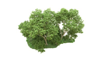 Yeşil orman ıssız. Afişler ve afişler için kullanışlı. 3d oluşturma.