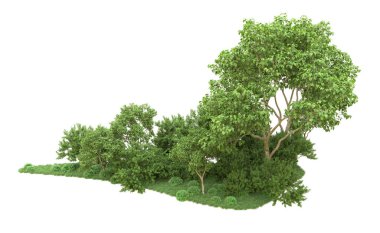 Yeşil orman ıssız. Afişler ve afişler için kullanışlı. 3d oluşturma.