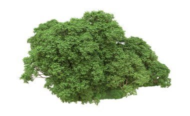 Yeşil orman ıssız. Afişler ve afişler için kullanışlı. 3d oluşturma.