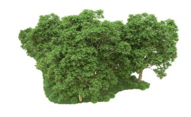 Yeşil orman ıssız. Afişler ve afişler için kullanışlı. 3d oluşturma.