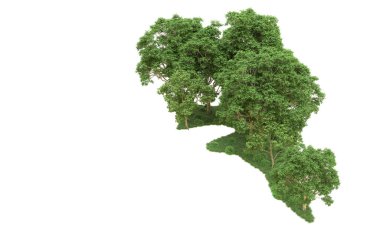 Yeşil orman ıssız. Afişler ve afişler için kullanışlı. 3d oluşturma.