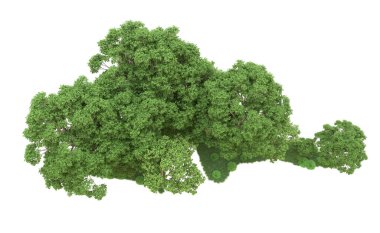 Yeşil orman ıssız. Afişler ve afişler için kullanışlı. 3d oluşturma.