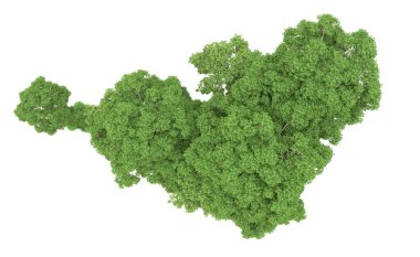 Yeşil orman ıssız. Afişler ve afişler için kullanışlı. 3d oluşturma.