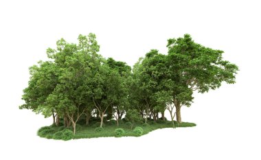 Yeşil orman ıssız. Afişler ve afişler için kullanışlı. 3d oluşturma.