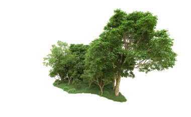 Yeşil orman ıssız. Afişler ve afişler için kullanışlı. 3d oluşturma.
