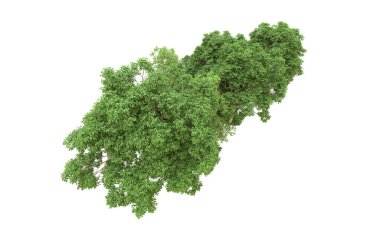 Yeşil orman ıssız. Afişler ve afişler için kullanışlı. 3d oluşturma.