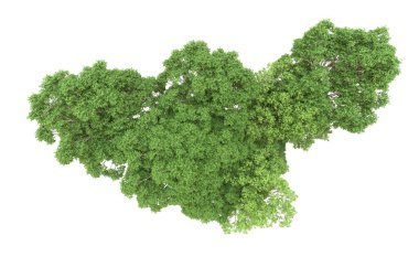 Yeşil orman ıssız. Afişler ve afişler için kullanışlı. 3d oluşturma.