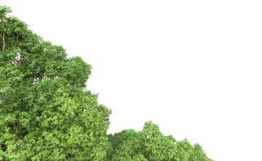 Yeşil orman ıssız. Afişler ve afişler için kullanışlı. 3d oluşturma.