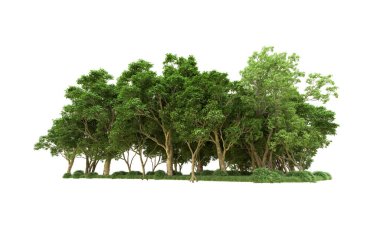 Yeşil orman ıssız. Afişler ve afişler için kullanışlı. 3d oluşturma.