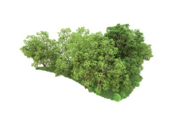 Yeşil orman ıssız. Afişler ve afişler için kullanışlı. 3d oluşturma.