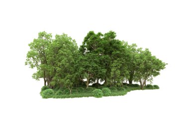 Yeşil orman ıssız. Afişler ve afişler için kullanışlı. 3d oluşturma.