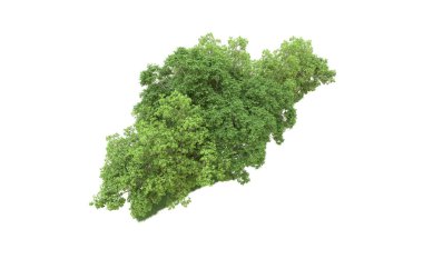 Yeşil orman ıssız. Afişler ve afişler için kullanışlı. 3d oluşturma.