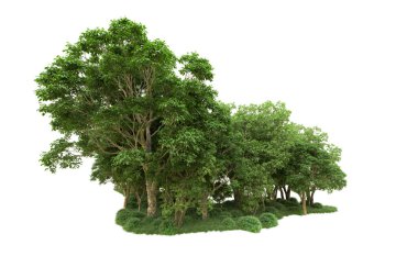 Yeşil orman ıssız. Afişler ve afişler için kullanışlı. 3d oluşturma.