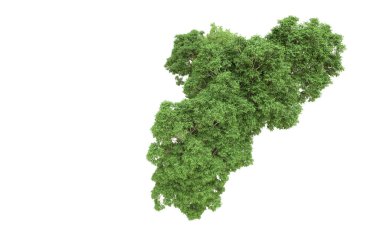 Yeşil orman ıssız. Afişler ve afişler için kullanışlı. 3d oluşturma.
