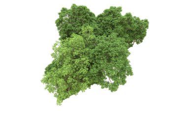 Yeşil orman ıssız. Afişler ve afişler için kullanışlı. 3d oluşturma.