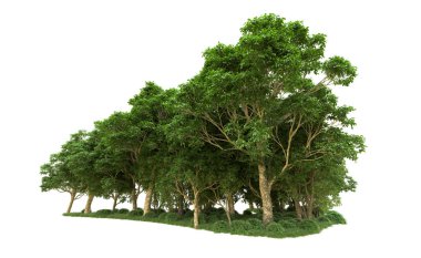 Yeşil orman ıssız. Afişler ve afişler için kullanışlı. 3d oluşturma.