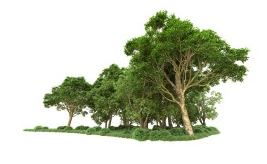 Yeşil orman ıssız. Afişler ve afişler için kullanışlı. 3d oluşturma.