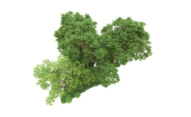 Yeşil orman ıssız. Afişler ve afişler için kullanışlı. 3d oluşturma.