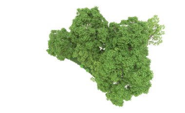 Yeşil orman ıssız. Afişler ve afişler için kullanışlı. 3d oluşturma.