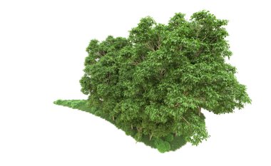 Yeşil orman ıssız. Afişler ve afişler için kullanışlı. 3d oluşturma.