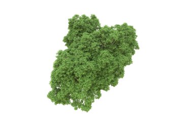 Yeşil orman ıssız. Afişler ve afişler için kullanışlı. 3d oluşturma.