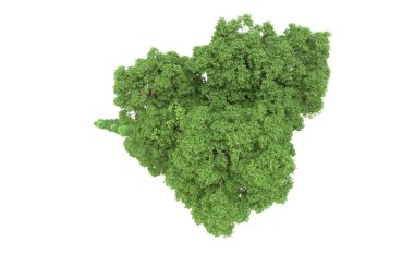 Yeşil orman ıssız. Afişler ve afişler için kullanışlı. 3d oluşturma.