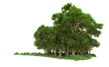 Yeşil orman ıssız. Afişler ve afişler için kullanışlı. 3d oluşturma.