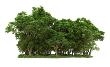 Yeşil orman ıssız. Afişler ve afişler için kullanışlı. 3d oluşturma.