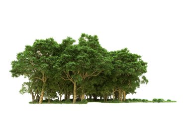 Yeşil orman ıssız. Afişler ve afişler için kullanışlı. 3d oluşturma.