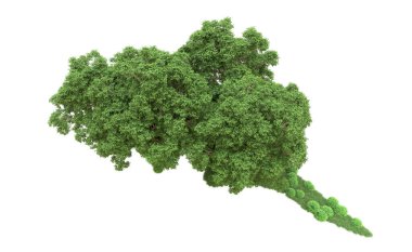Yeşil orman ıssız. Afişler ve afişler için kullanışlı. 3d oluşturma.