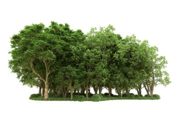 Yeşil orman ıssız. Afişler ve afişler için kullanışlı. 3d oluşturma.