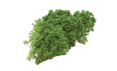 Yeşil orman ıssız. Afişler ve afişler için kullanışlı. 3d oluşturma.