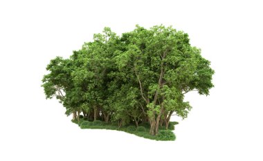 Yeşil orman ıssız. Afişler ve afişler için kullanışlı. 3d oluşturma.