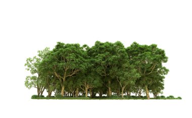 Yeşil orman ıssız. Afişler ve afişler için kullanışlı. 3d oluşturma.