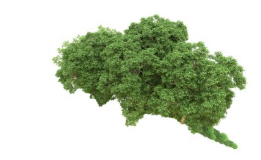 Yeşil orman ıssız. Afişler ve afişler için kullanışlı. 3d oluşturma.