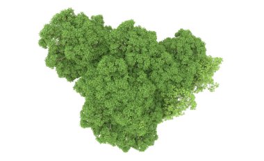 Yeşil orman ıssız. Afişler ve afişler için kullanışlı. 3d oluşturma.