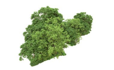 Yeşil orman ıssız. Afişler ve afişler için kullanışlı. 3d oluşturma.